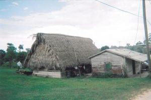 casey in belize 2