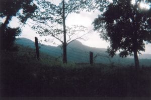 casey in belize 4