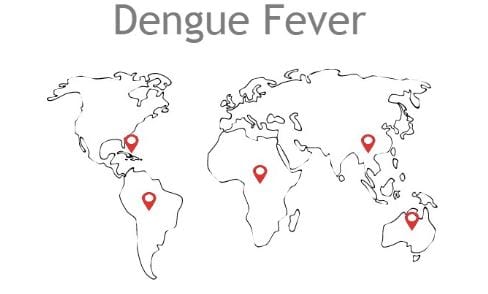 dengue fever