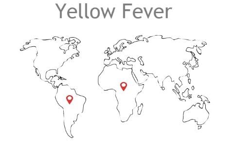 yellow fever