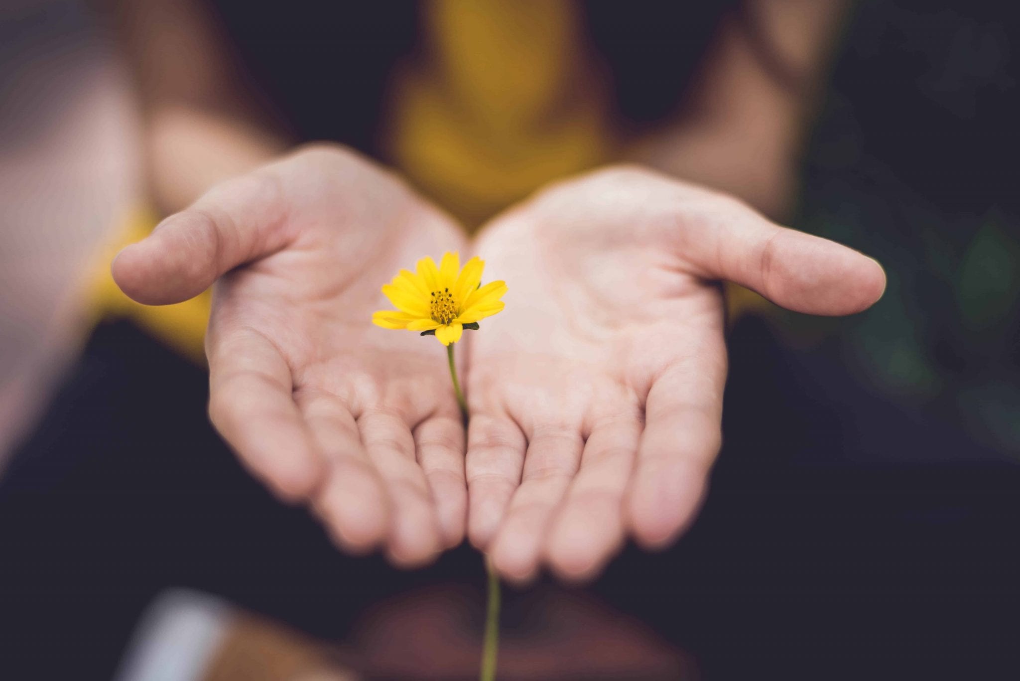 11 Inspirational Bible Verses About Giving Generously