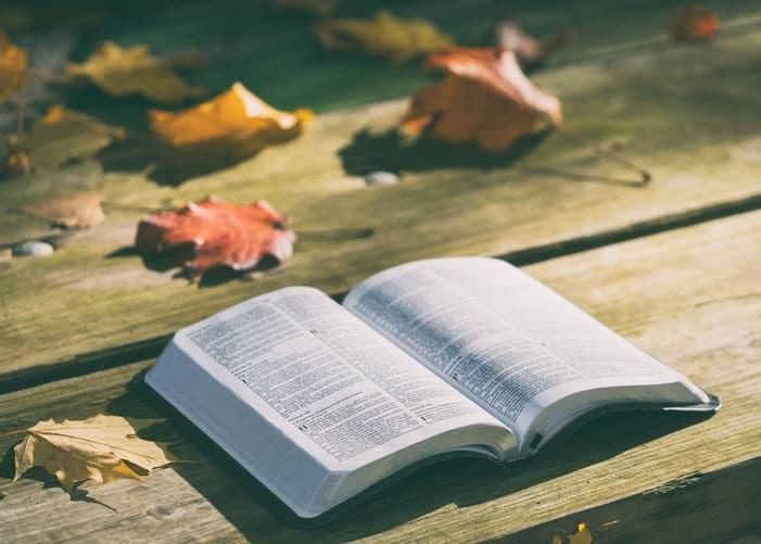 Giving Thanks in All Seasons | 10 Thanksgiving Bible Verses